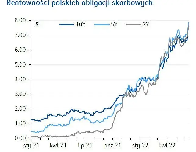 Rentowność 5-letnich obligacji: Ile zarobisz w 2025?