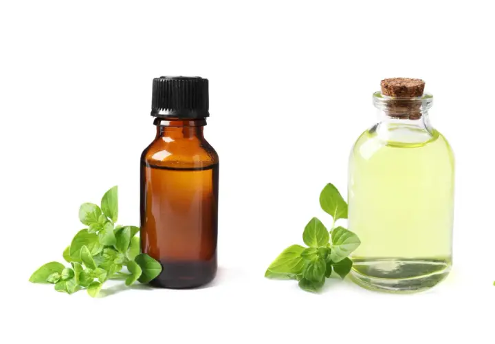 Due boccette di olio essenziale, una ambrata e una trasparente, con rametti di origano. L'olio di origano è noto per le sue proprietà contro i parassiti.