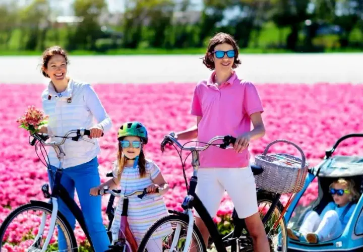 Familia disfrutando de un paseo en bicicleta por campos de tulipanes rosas en Holanda.