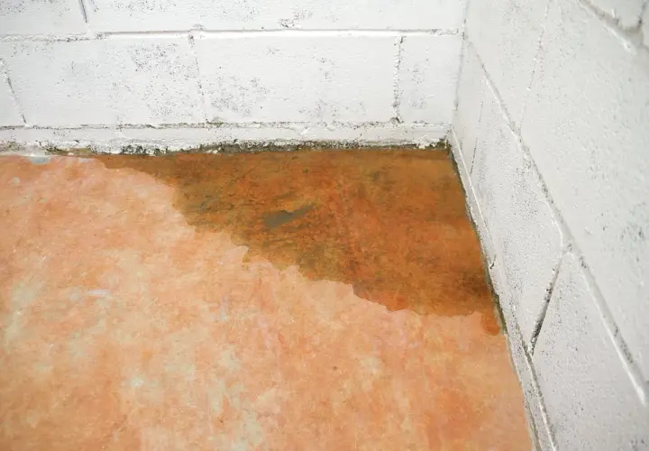 Feuchter Boden in einer Ecke mit weißen Betonwänden. Wasserflecken und Feuchtigkeit sind sichtbar.