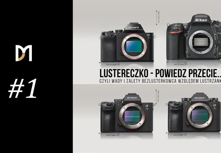 Jaki aparat kupić? Bezlusterkowiec czy lustrzanka pełne porównanie
