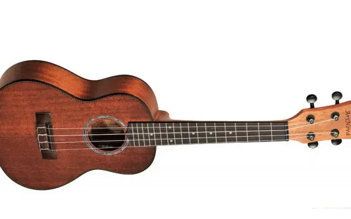 Ile naprawdę kosztuje dobre ukulele? Porównanie cen i porady dla kupujących