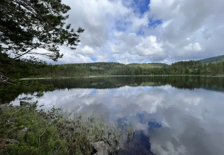 Spegelblank sjö med moln som reflekteras. Perfekt för en paus under cykelturen på cykelleder Sverige.