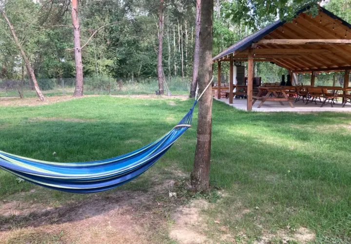 Kolorowy hamak w lesie, idealne miejsce na relaks podczas **camping Roztocze**. W tle drewniana wiata z ławami i stołami.