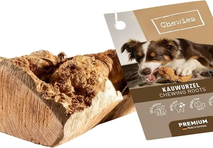 Korzeń dla psa: naturalna zabawka i bezpieczny gryzak dla twojego pupila