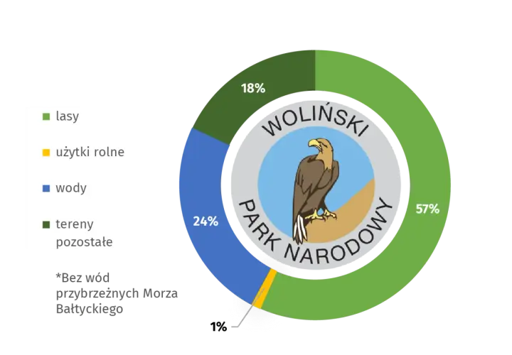 Co jest symbolem Wolińskiego Parku Narodowego? Poznaj orła bielika