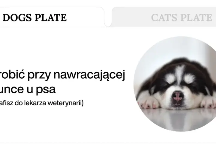 Słodki szczeniak śpi, podczas gdy tekst informuje o tym, co zrobić przy nawracającej wodnistej biegunce u psa.