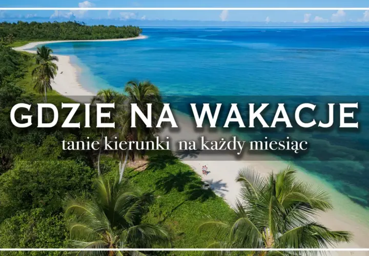 Rajska plaża z palmami i turkusową wodą. Idealne miejsce, by zastanowić się, gdzie na wakacje wybrać się w tym roku.
