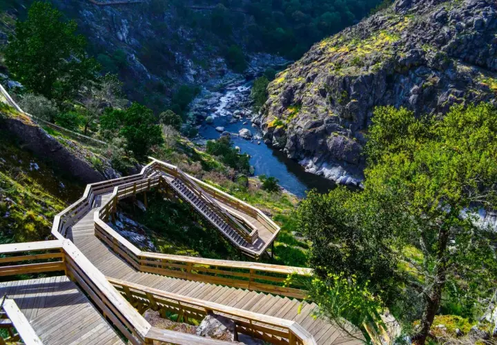 Pasarela de madera serpentea por un barranco verde hasta el río Paiva. El puente Arouca ofrece vistas espectaculares.