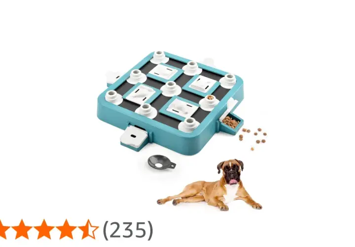 Un perro boxer mira un tablero de juegos mentales para perros con premios.
