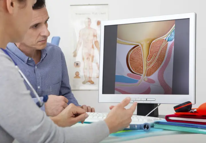 Lekarz wyjaśnia pacjentowi, na czym polega badanie prostaty, pokazując na ekranie jej anatomiczny przekrój.