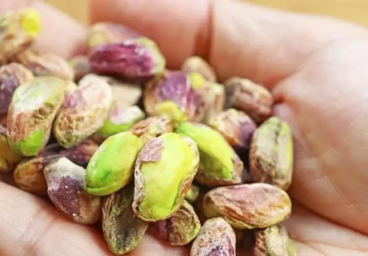 Garść pistacji w dłoni. Czy pistacje są kaloryczne? Tak, ale warto je jeść!