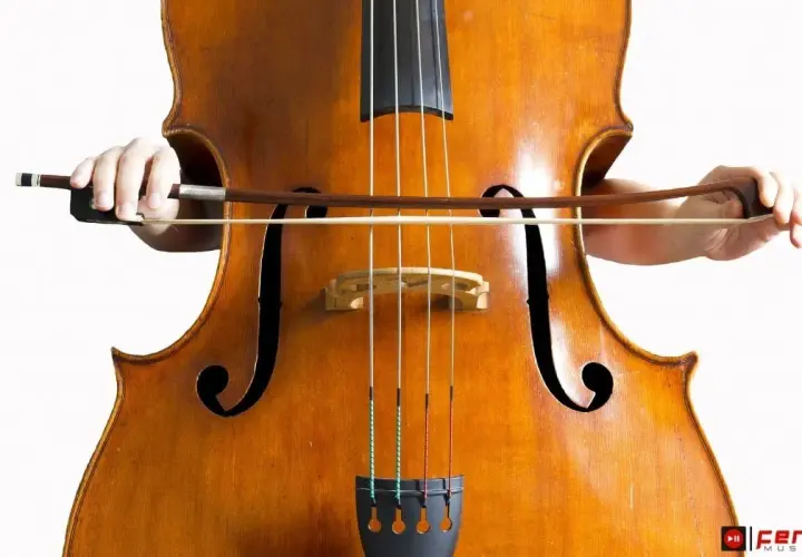 Mains tenant un archet sur les cordes d'un magnifique contrebasse instrument, prêt à jouer une mélodie profonde.