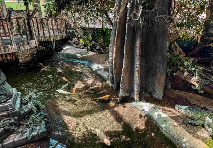 Tropicarium w Budapeszcie - Niezapomniane atrakcje i ceny biletów