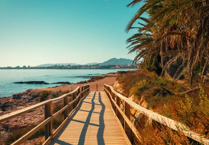 Pasarela de madera hacia paradisíacas playas de Murcia, con palmeras y el mar azul.