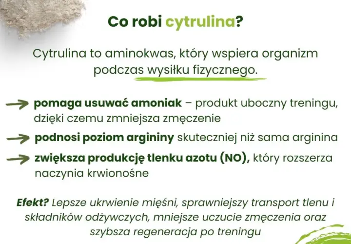 Cytrulina przed treningiem: Kiedy i jak dawkować dla pompy?