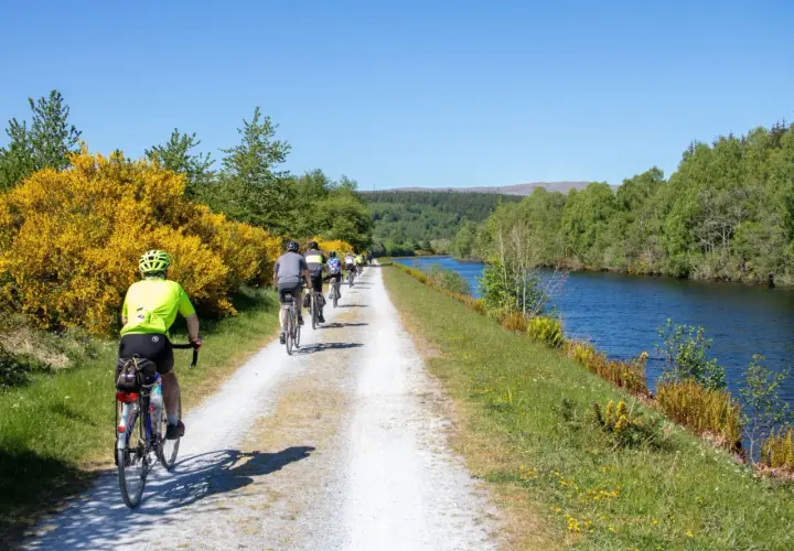 A group enjoys cycling in Scotland along a canal path, with bright yellow gorse bushes and lush green trees lining the route.