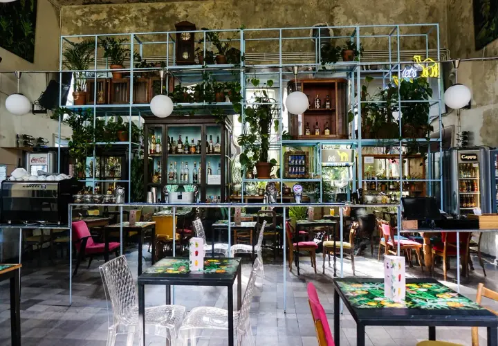 Gdzie zjeść w Nowym Targu? Odkryj najlepsze restauracje i smaki