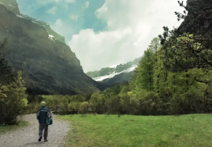 Senderos del Pirineo Aragonés, un excursionista camina hacia imponentes montañas con picos nevados y exuberante vegetación verde.