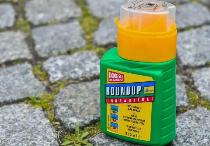 Grüne Flasche mit "Roundup Unkrautfrei" auf Kopfsteinpflaster. Die Diskussion um Roundup verboten Strafen wird durch solche Produkte aktuell gehalten.