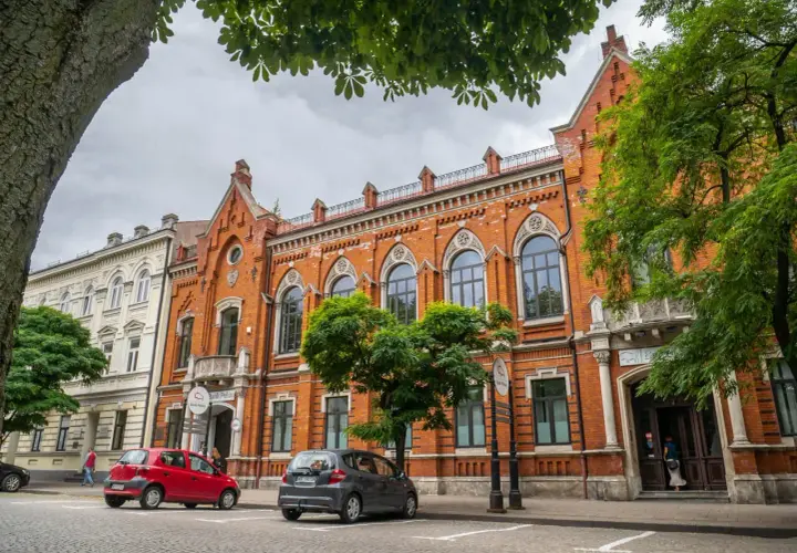 Ulica w Radomiu i okolicach z zabytkowymi kamienicami, drzewami i zaparkowanymi samochodami.