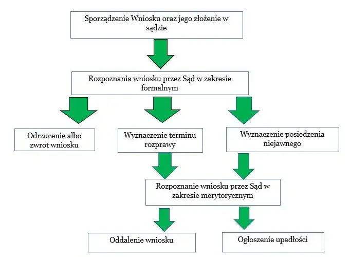 Co sprawdza sąd w upadłości konsumenckiej? Kluczowe aspekty analizy