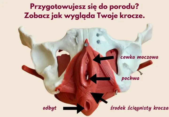 Masaż krocza w ciąży: Jak przygotować się do porodu?