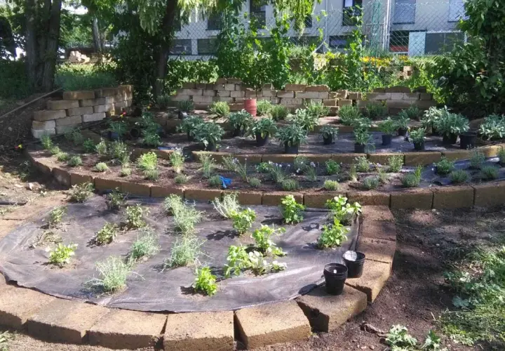 Giardino a terrazze con erbe aromatiche appena piantate. Un esempio di come disporre le erbe aromatiche in giardino per un effetto scenografico e funzionale.