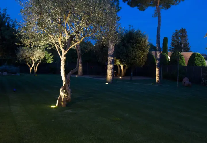 Jardín iluminado por la noche, con árboles y césped verde. Las luces, con protección **IP65**, resaltan la vegetación y crean un ambiente mágico.