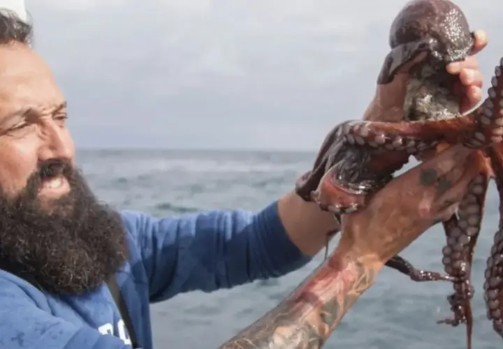 Pescador con pulpo recién capturado en el mar.