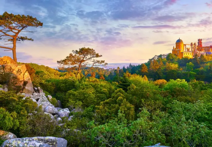 A vibrant Sintra hiking trail leads through lush greenery towards a colorful palace perched on a hill.