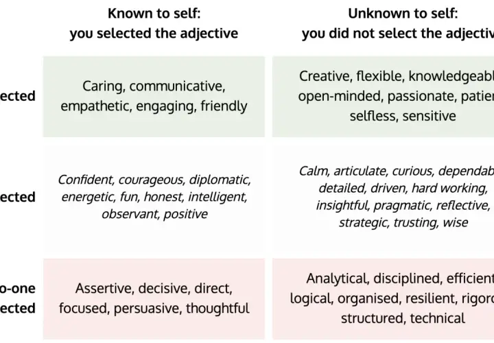 Johari window example showing traits known to self vs. unknown, and selected by others vs. not.
