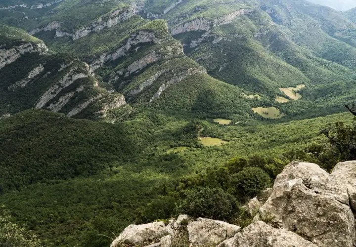 Vistas impresionantes de la Alta Garrotxa, con montañas cubiertas de bosques frondosos y formaciones rocosas que se asoman entre la vegetación.