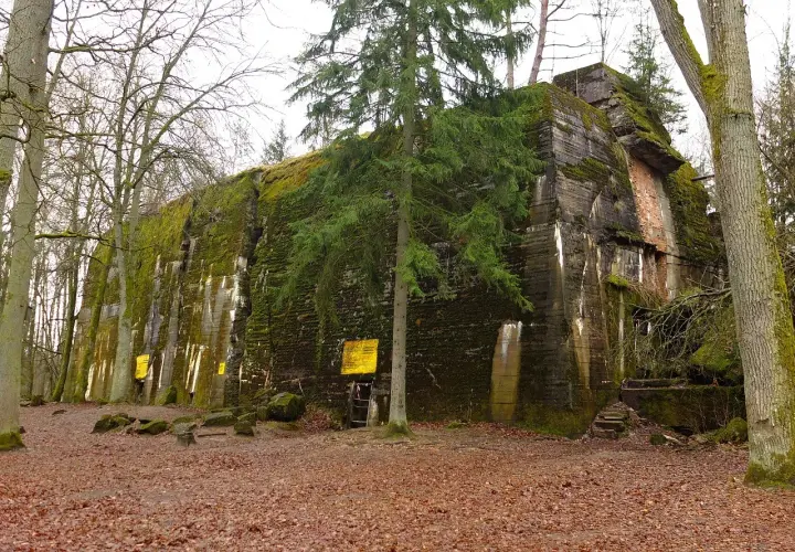 Masywny bunkier porośnięty mchem i bluszczem, część historycznego Wilczego Szanieca, otoczony jesiennym lasem.