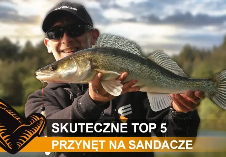 Przynęty na sandacze: Sekrety skutecznego łowienia. Poradnik eksperta