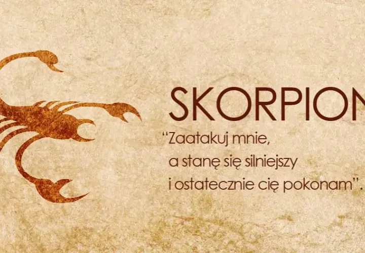 Jak postępować ze Skorpionem? Kluczowe porady dla Ciebie
