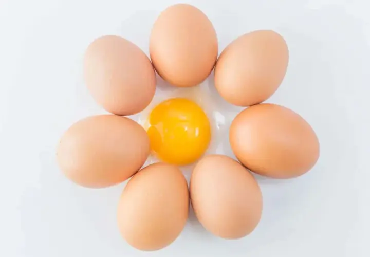 Sieben braune Eier umgeben ein leuchtend gelbes Eigelb. Ein perfekter eiweiß-Protein-Snack.