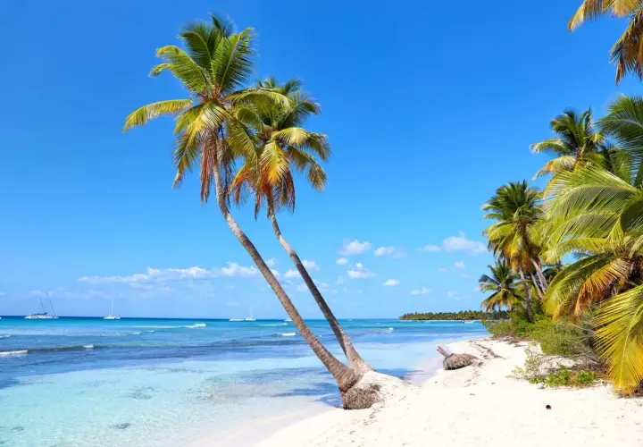 Rajska plaża na Dominikanie, z palmami pochylonymi nad turkusową wodą. Idealne miejsce, by zapomnieć, kiedy huragany na Dominikanie mogą zagrozić temu spokojowi.