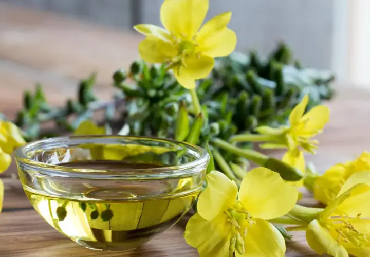Aceite de onagra en un cuenco de cristal rodeado de flores amarillas, destacando sus beneficios naturales.