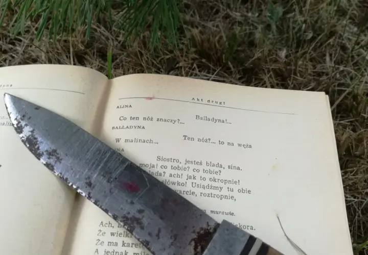 Balladyna: Pełne streszczenie i analiza. Jak żądza władzy niszczy?
