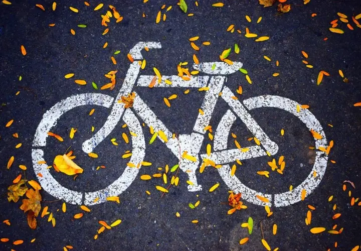 Znak roweru na asfalcie, zasypany jesiennymi liśćmi. To jak symboliczne prawo jazdy na rower, gotowe do jesiennych przejażdżek.