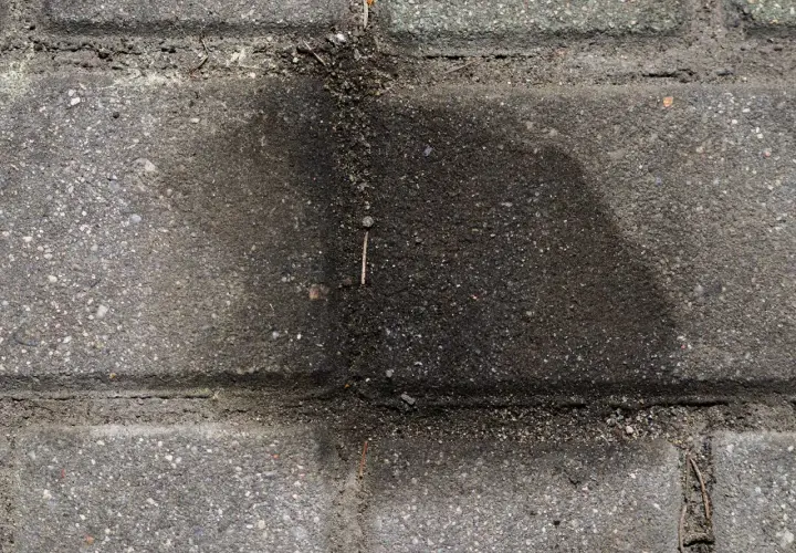 Stare plamy z oleju na kostce brukowej tworzą ciemny, rozlany kształt, świadcząc o dawnych wyciekach.