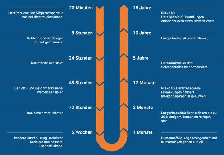 Zeitstrahl zeigt, wie sich der Körper nach dem Rauchstopp verändert. Tipps für rauchen aufhören und Hausmittel werden durch positive Effekte illustriert.
