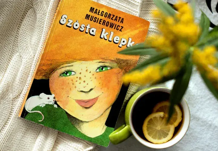 Recenzja książki Szósta klepka – co warto wiedzieć przed lekturą?