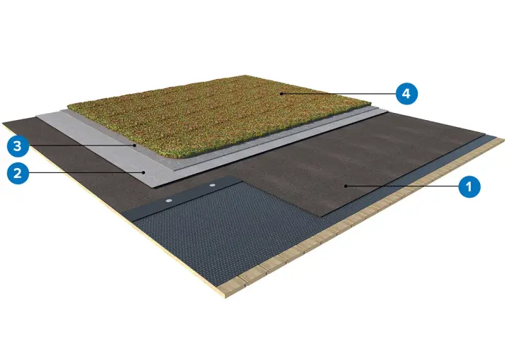 Skiktad sedumtak konstruktion med dränering, skydd och vegetation.
