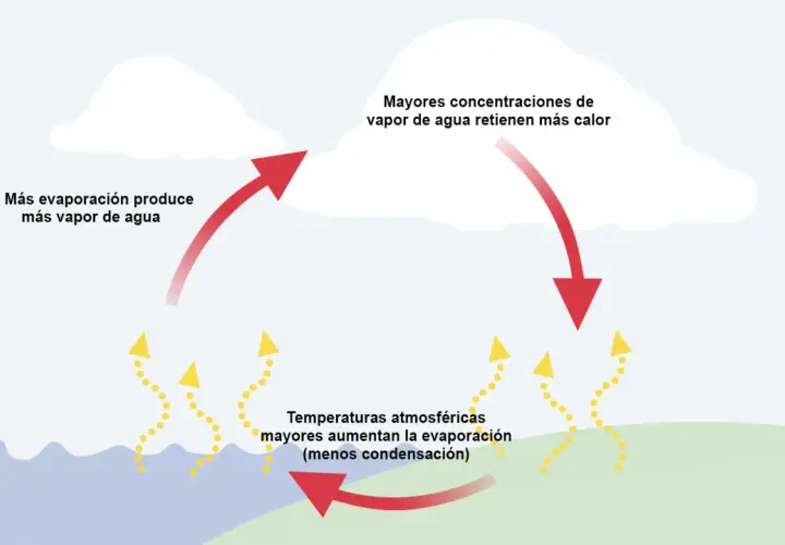 Ciclo del agua: la evaporación aumenta el vapor de agua, que retiene calor. Temperaturas altas aumentan la evaporación.