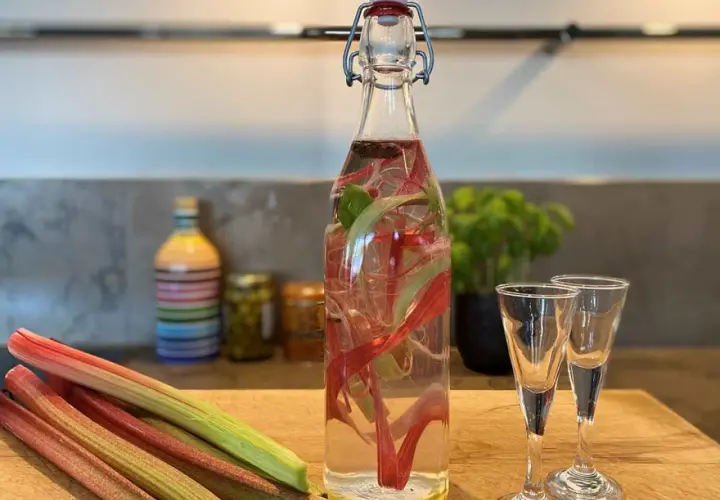 En flaska med rabarberinfusion för egen snaps, bredvid två små glas. Rabarberstjälkar ligger framför.
