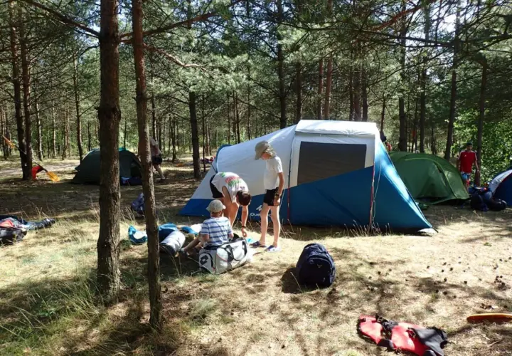 Rodzina rozbija obóz w lesie. Dzieci pomagają przy namiotach, zastanawiając się, jaki śpiwór na lato będzie najlepszy.
