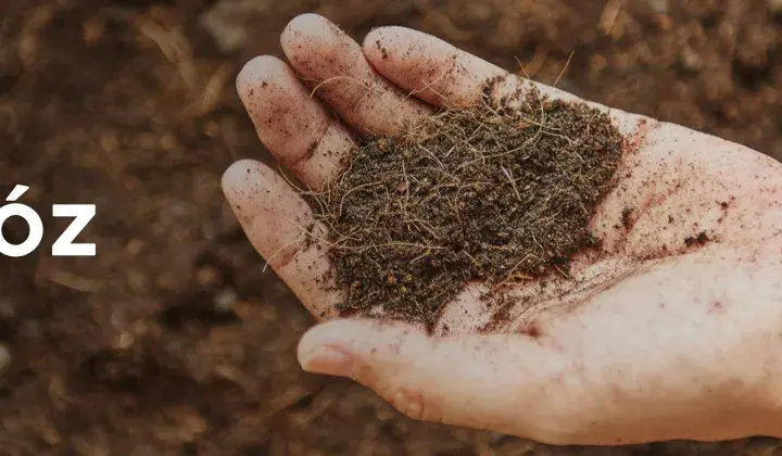 Dłoń trzyma nawóz, który wygląda jak popiół z pelletu, z widocznymi drobnymi włóknami.