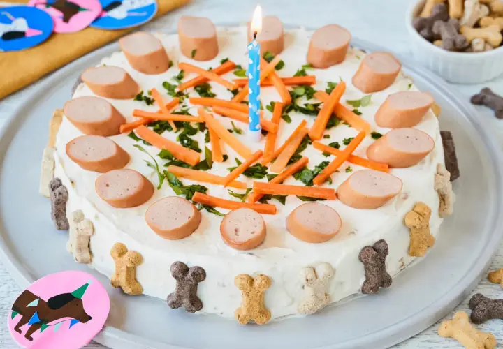 Hunde Torte Rezept einfach und schnell: Leckere Wurstscheiben, Karotten und Kräuter zieren diese festliche Hundetorte mit Kerze. Knochenförmige Kekse schmücken den Rand.